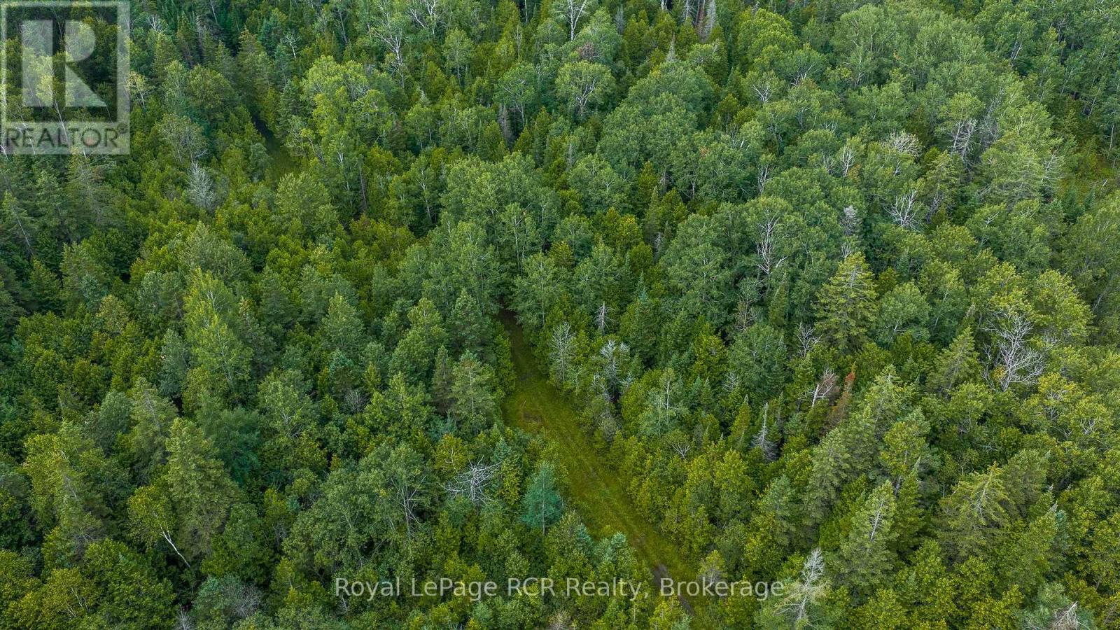 1519 West Road, Northern Bruce Peninsula, Ontario  N0H 1W0 - Photo 45 - X13659100