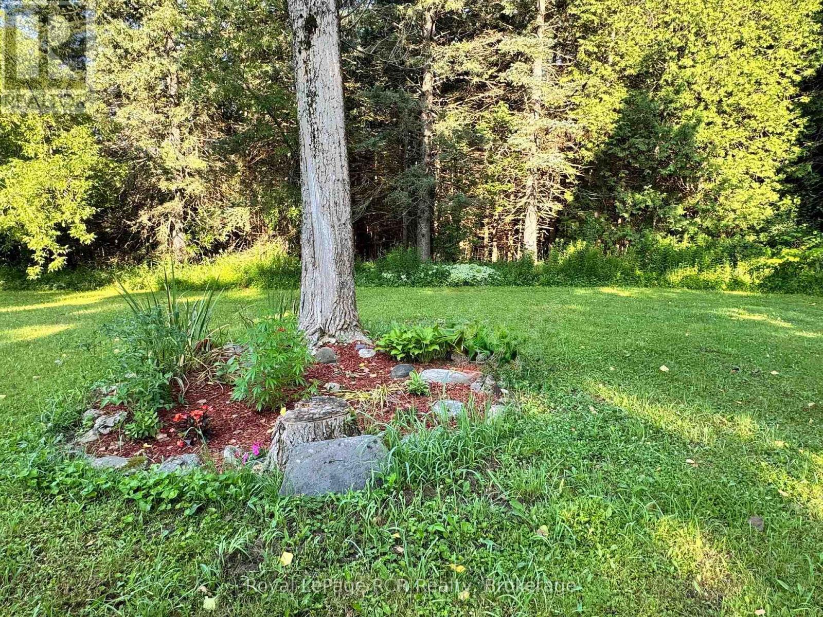 315134 Highway 6, West Grey, Ontario  N0G 1R0 - Photo 46 - X13659122