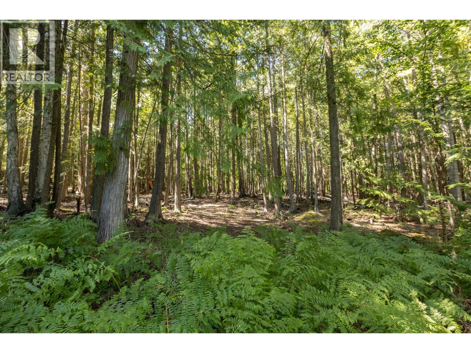6061 40 Street NW, Salmon Arm, British Columbia  V1E 4M2 - Photo 24 - 10396891