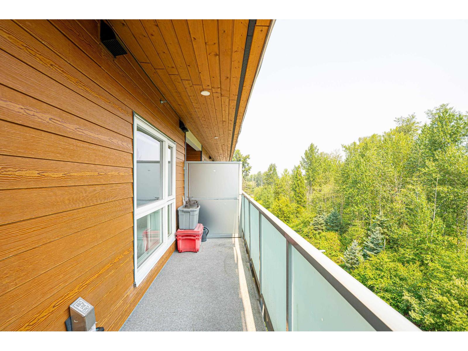 A505 8447 202 Street, Langley, British Columbia  V2Y 2B7 - Photo 29 - R3154224