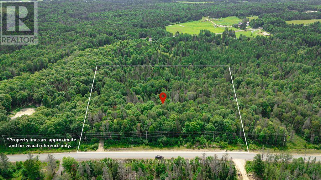 167 North Pickerel Lake Road, Armour, Ontario  P0A 1C0 - Photo 1 - X13659258