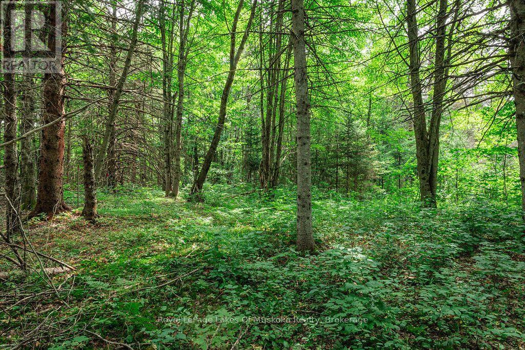 167 North Pickerel Lake Road, Armour, Ontario  P0A 1C0 - Photo 13 - X13659258