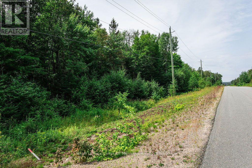 167 North Pickerel Lake Road, Armour, Ontario  P0A 1C0 - Photo 17 - X13659258