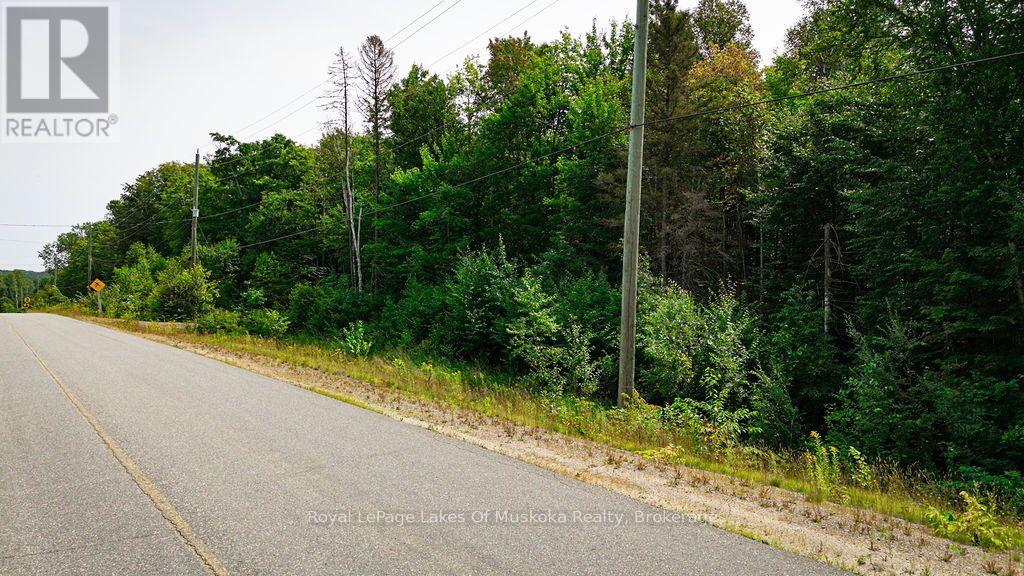 167 North Pickerel Lake Road, Armour, Ontario  P0A 1C0 - Photo 18 - X13659258