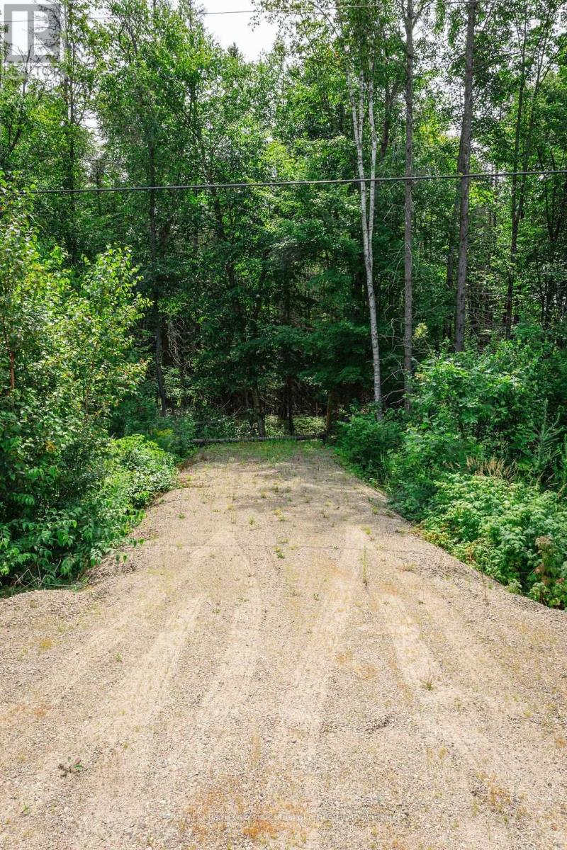 167 North Pickerel Lake Road, Armour, Ontario  P0A 1C0 - Photo 2 - X13659258