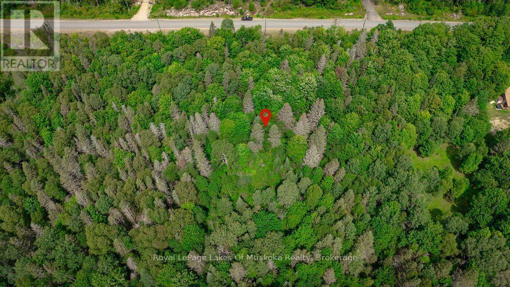 167 North Pickerel Lake Road, Armour, Ontario  P0A 1C0 - Photo 4 - X13659258