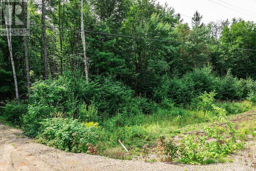 167 North Pickerel Lake Road, Armour, Ontario  P0A 1C0 - Photo 6 - X13659258