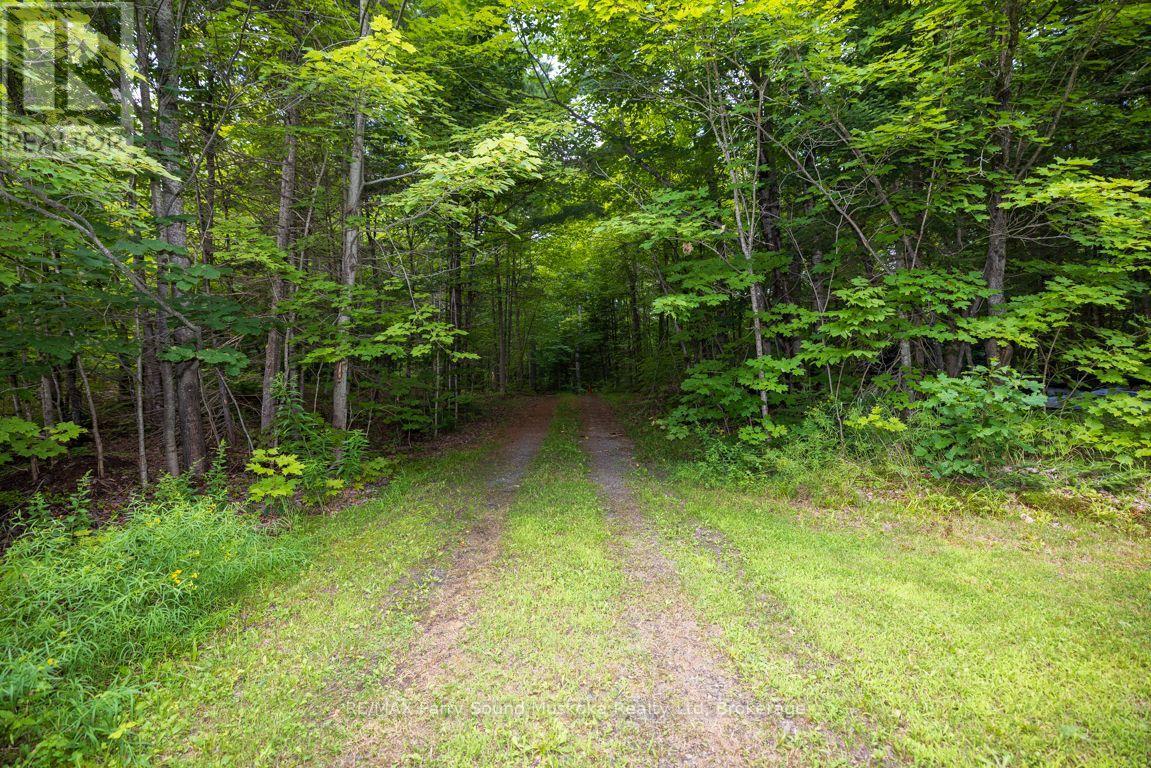 1 Five Finger Lane, Whitestone (Hagerman), Ontario  P0A 1G0 - Photo 43 - X13659296
