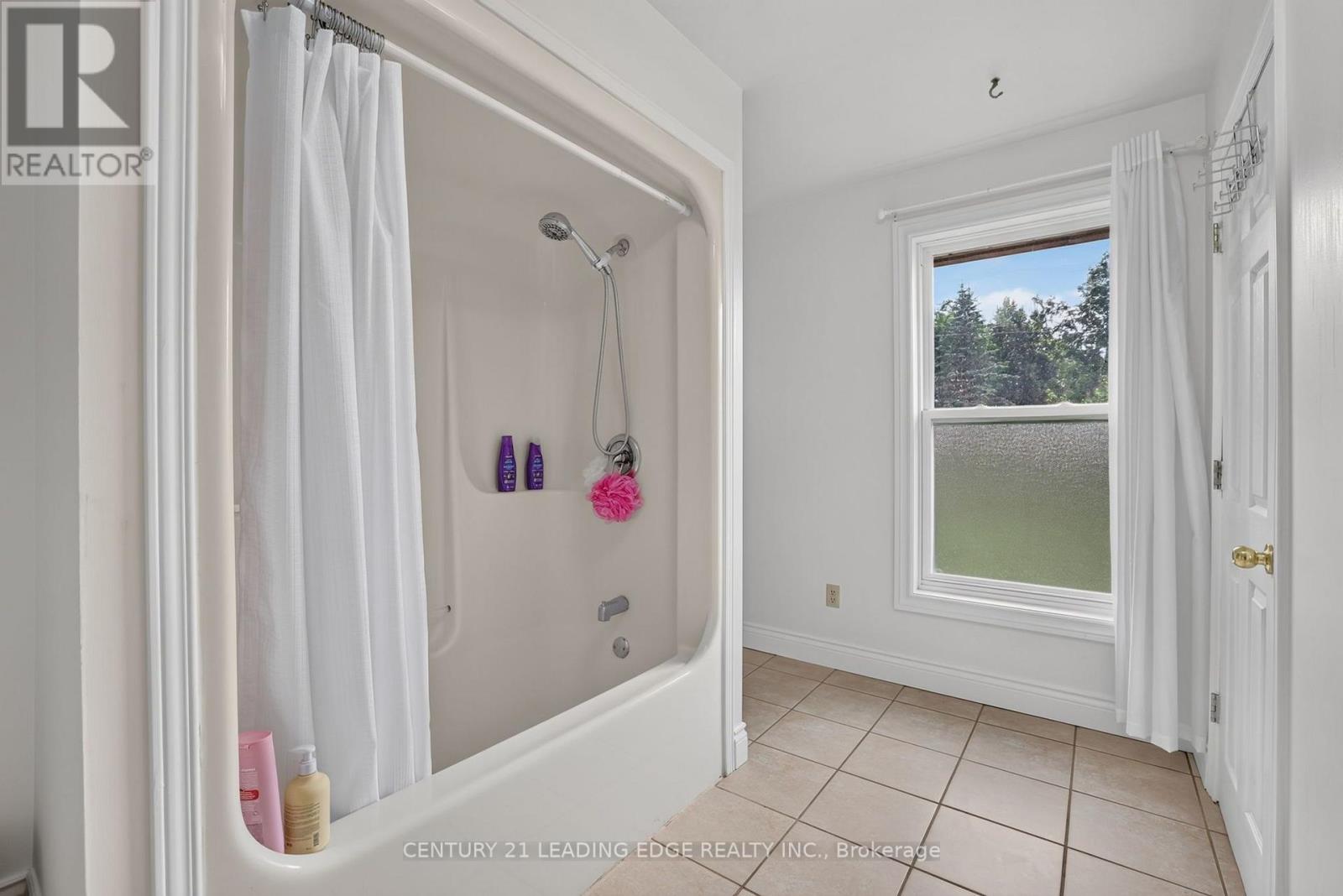 23233 Miles Road, Georgina, Ontario  L0E 1R0 - Photo 22 - N13659332