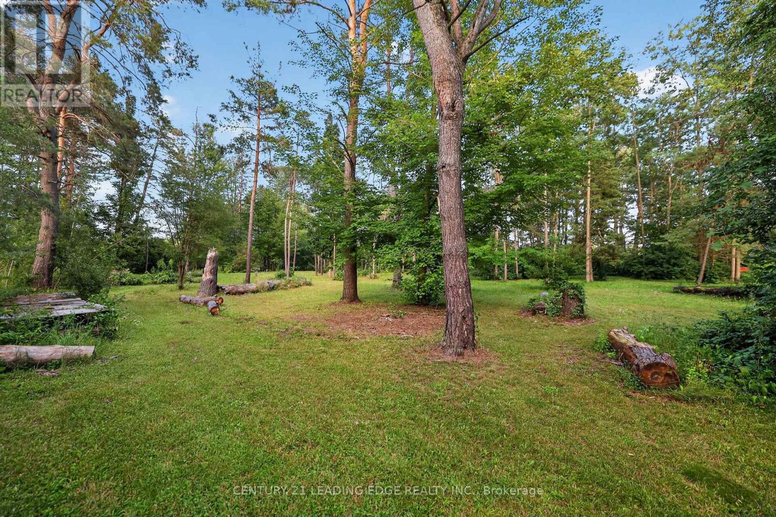 23233 Miles Road, Georgina, Ontario  L0E 1R0 - Photo 46 - N13659332