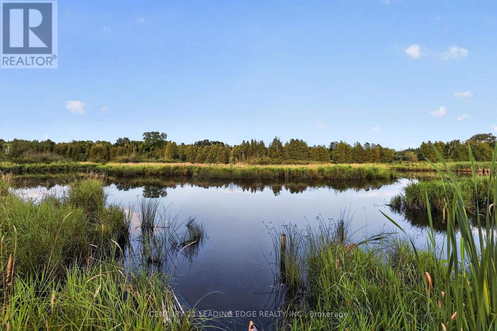 23233 Miles Road, Georgina, Ontario  L0E 1R0 - Photo 47 - N13659332