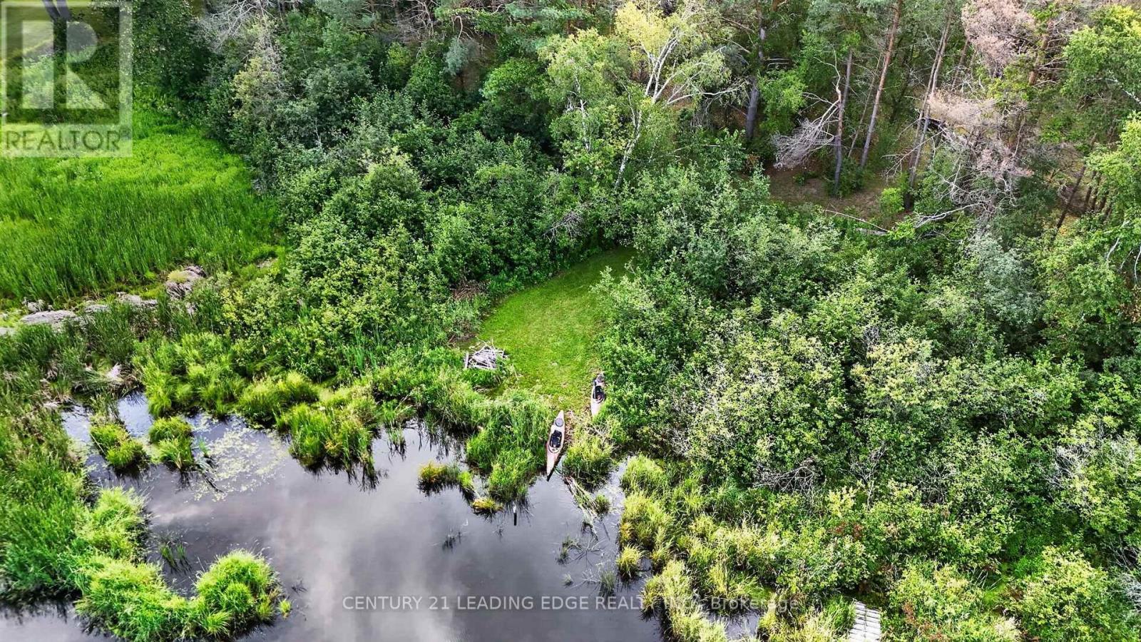 23233 Miles Road, Georgina, Ontario  L0E 1R0 - Photo 48 - N13659332