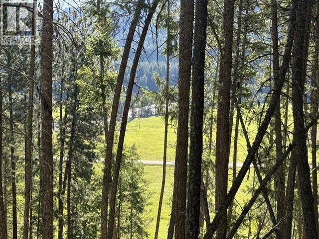 5600 Christian Valley Road, Westbridge, British Columbia  V0H 1Y0 - Photo 5 - 10374716