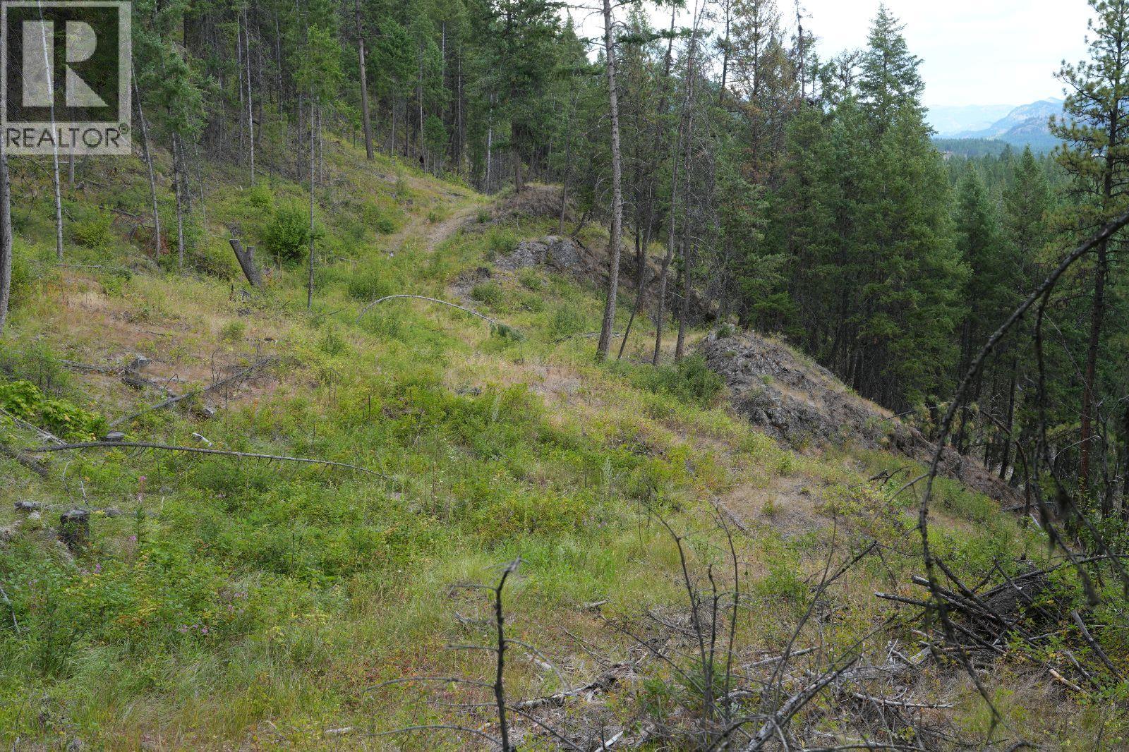 5600 Christian Valley Road, Westbridge, British Columbia  V0H 1Y0 - Photo 12 - 10374716