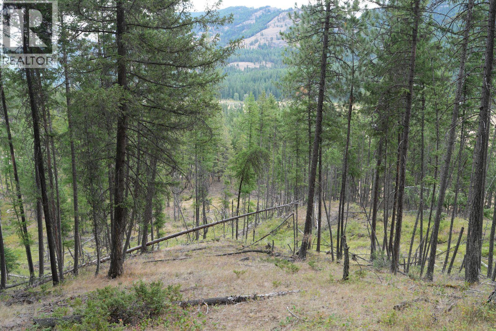 5600 Christian Valley Road, Westbridge, British Columbia  V0H 1Y0 - Photo 14 - 10374716