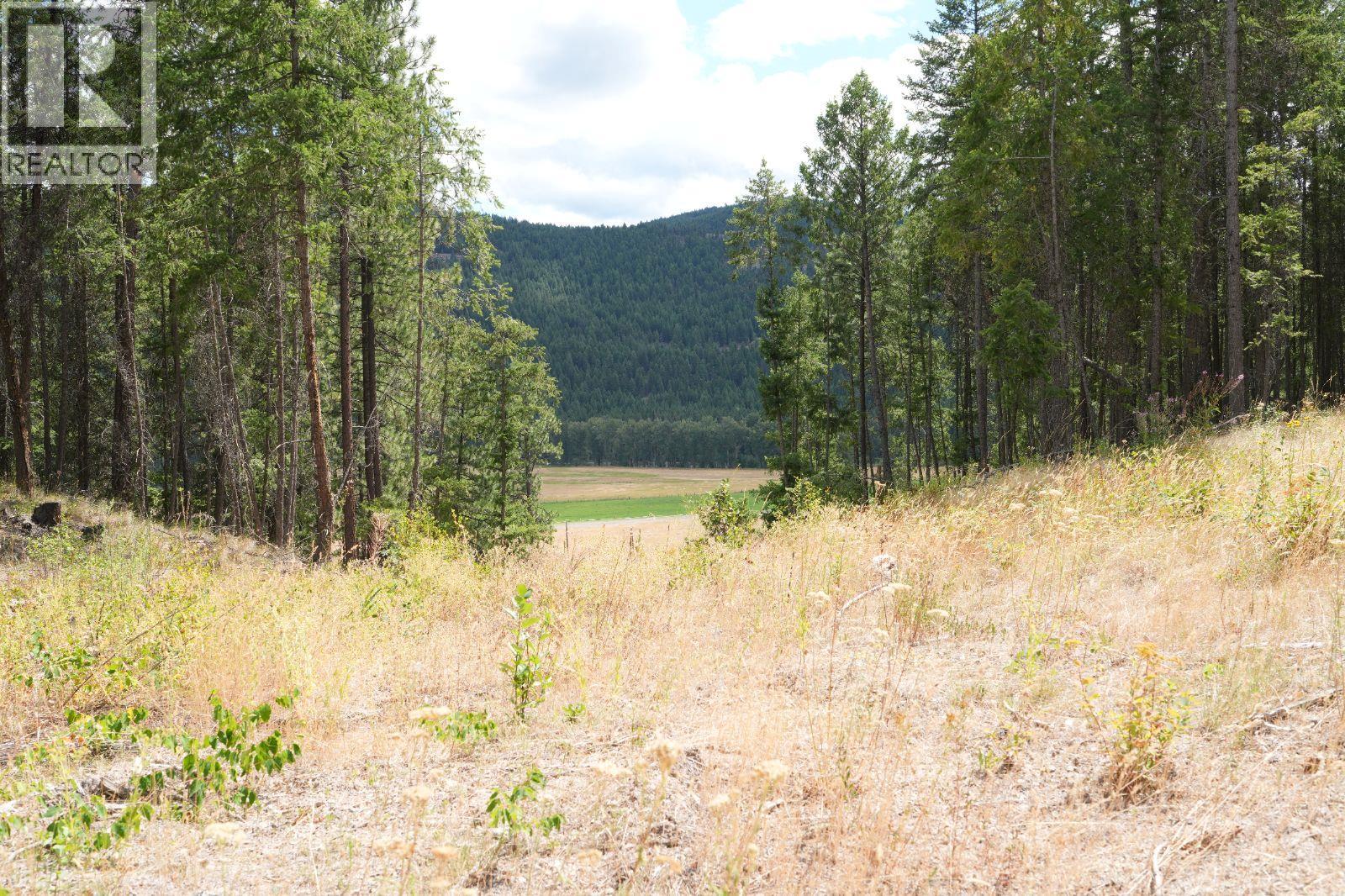 5600 Christian Valley Road, Westbridge, British Columbia  V0H 1Y0 - Photo 16 - 10374716