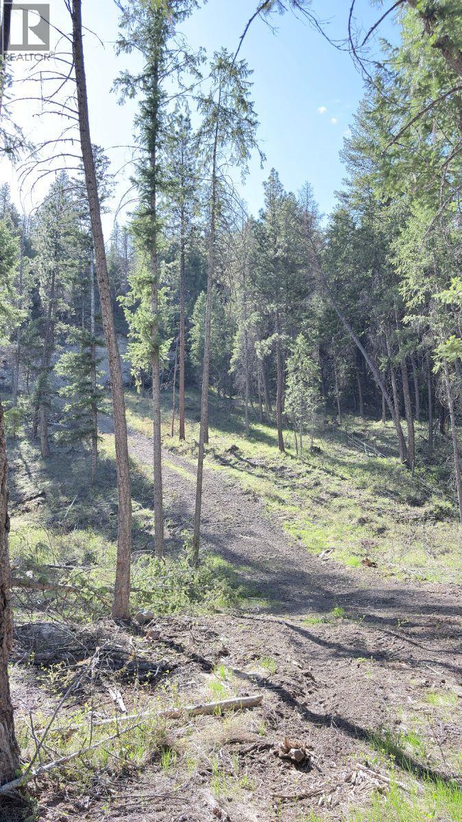 5600 Christian Valley Road, Westbridge, British Columbia  V0H 1Y0 - Photo 27 - 10374716