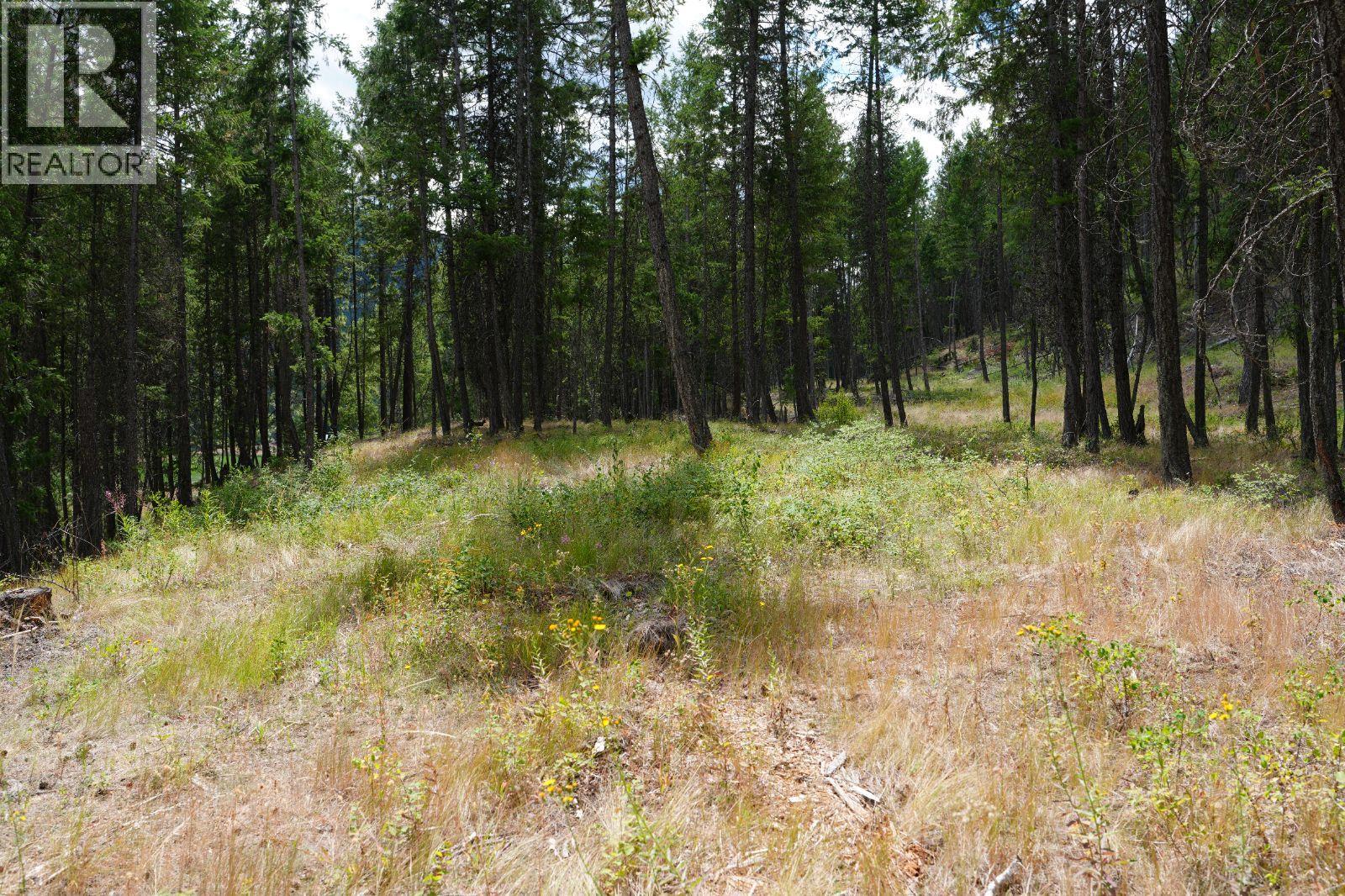 5600 Christian Valley Road, Westbridge, British Columbia  V0H 1Y0 - Photo 17 - 10374716