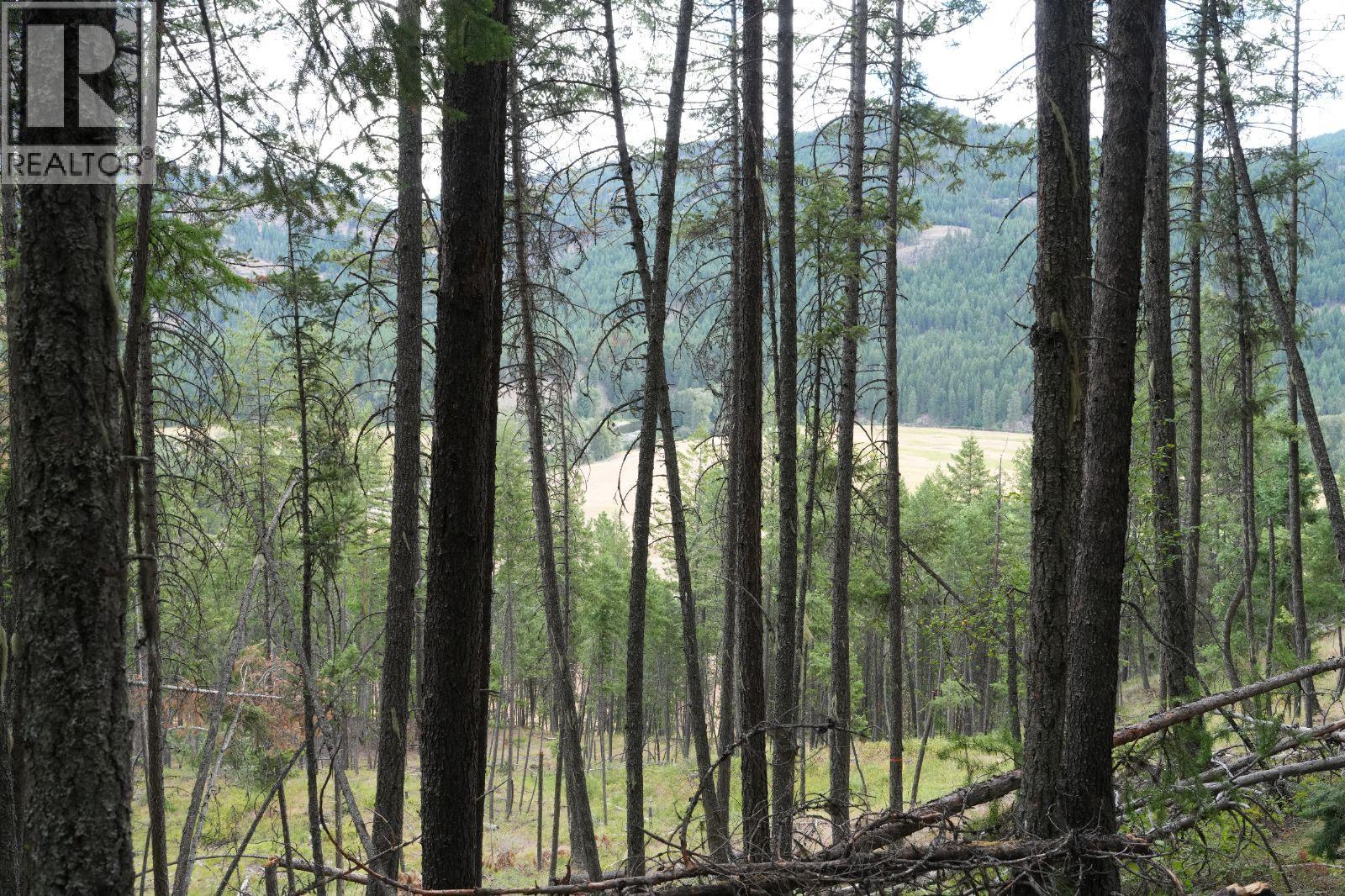 5600 Christian Valley Road, Westbridge, British Columbia  V0H 1Y0 - Photo 13 - 10374716