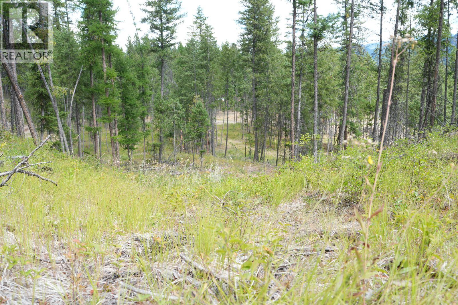 5600 Christian Valley Road, Westbridge, British Columbia  V0H 1Y0 - Photo 15 - 10374716