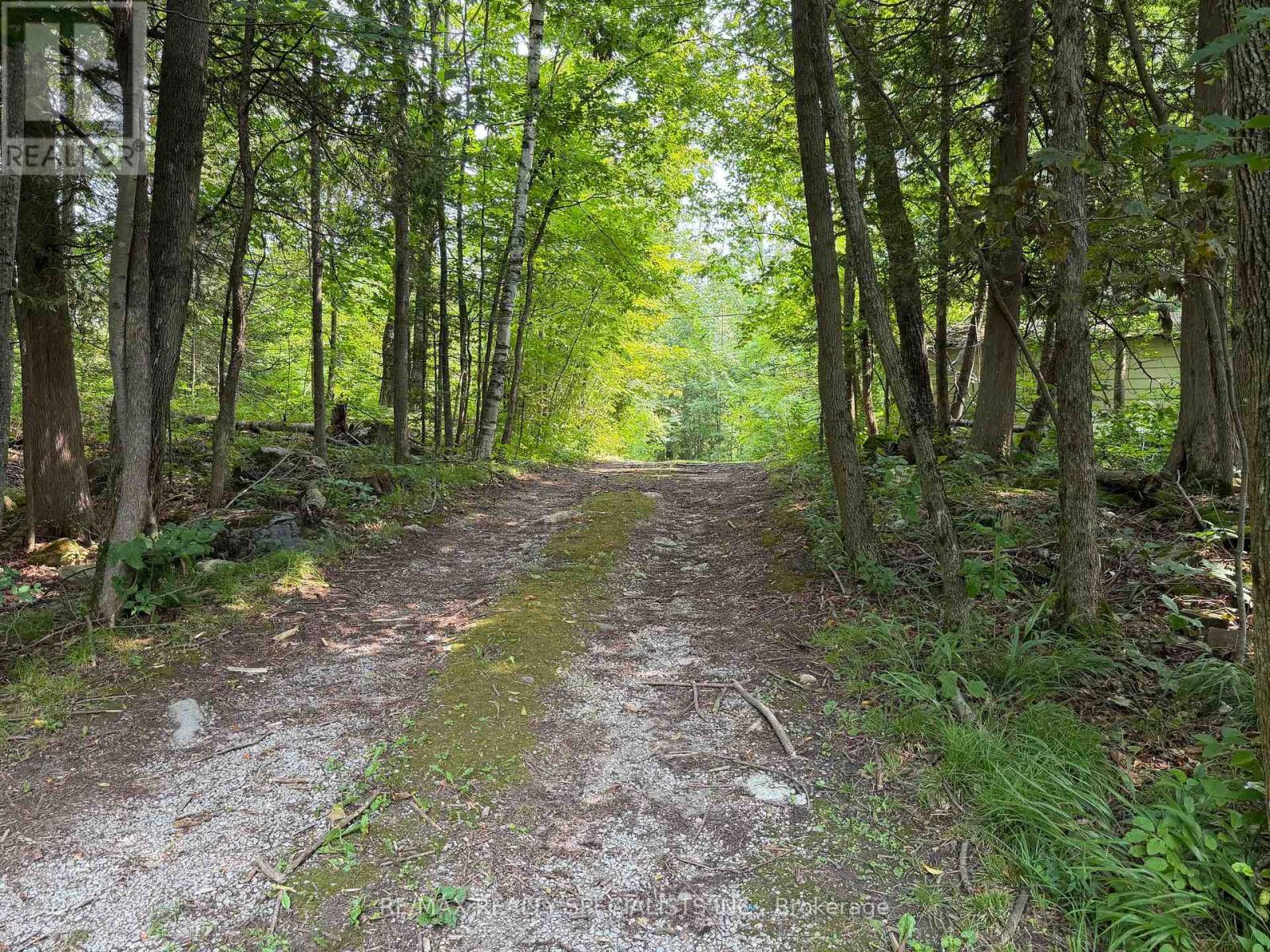 50 South Fork Drive, Kawartha Lakes, Ontario  K0M 1K0 - Photo 22 - X13659304