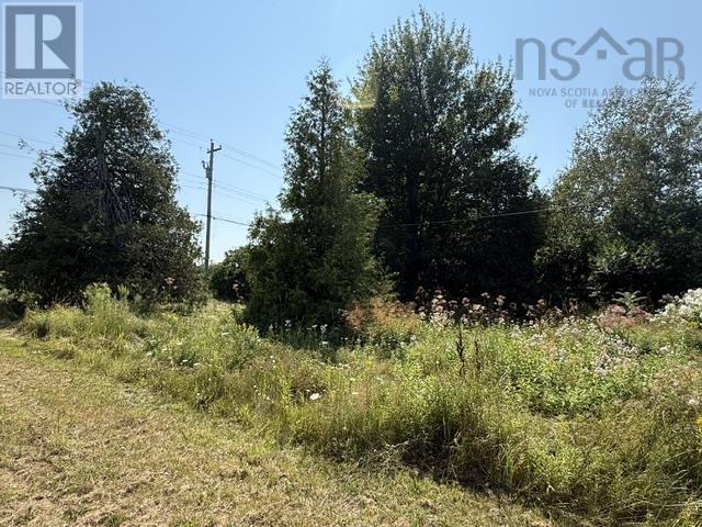 2721 Highway 6, Truemanville, Nova Scotia  B4H 3X9 - Photo 5 - 202620183