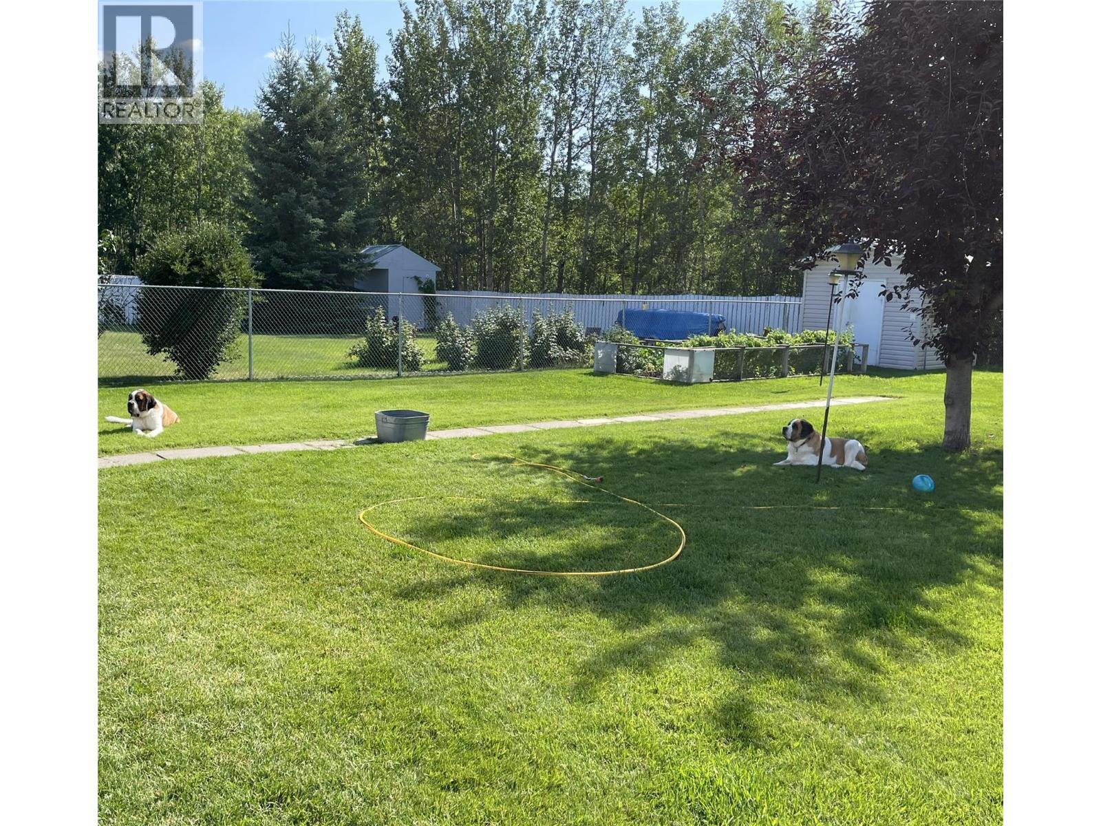4917 45 Street NE, Chetwynd, British Columbia  V0C 1J0 - Photo 30 - 10379090