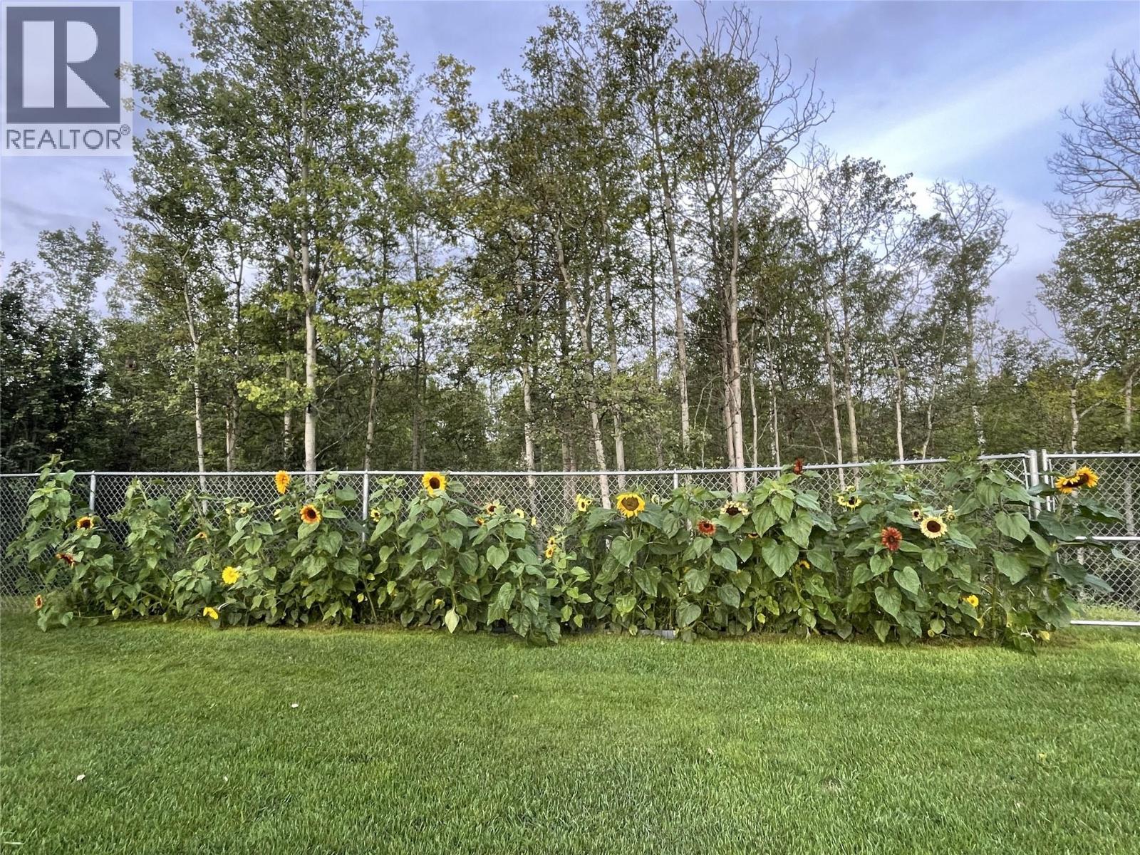 4917 45 Street NE, Chetwynd, British Columbia  V0C 1J0 - Photo 33 - 10379090