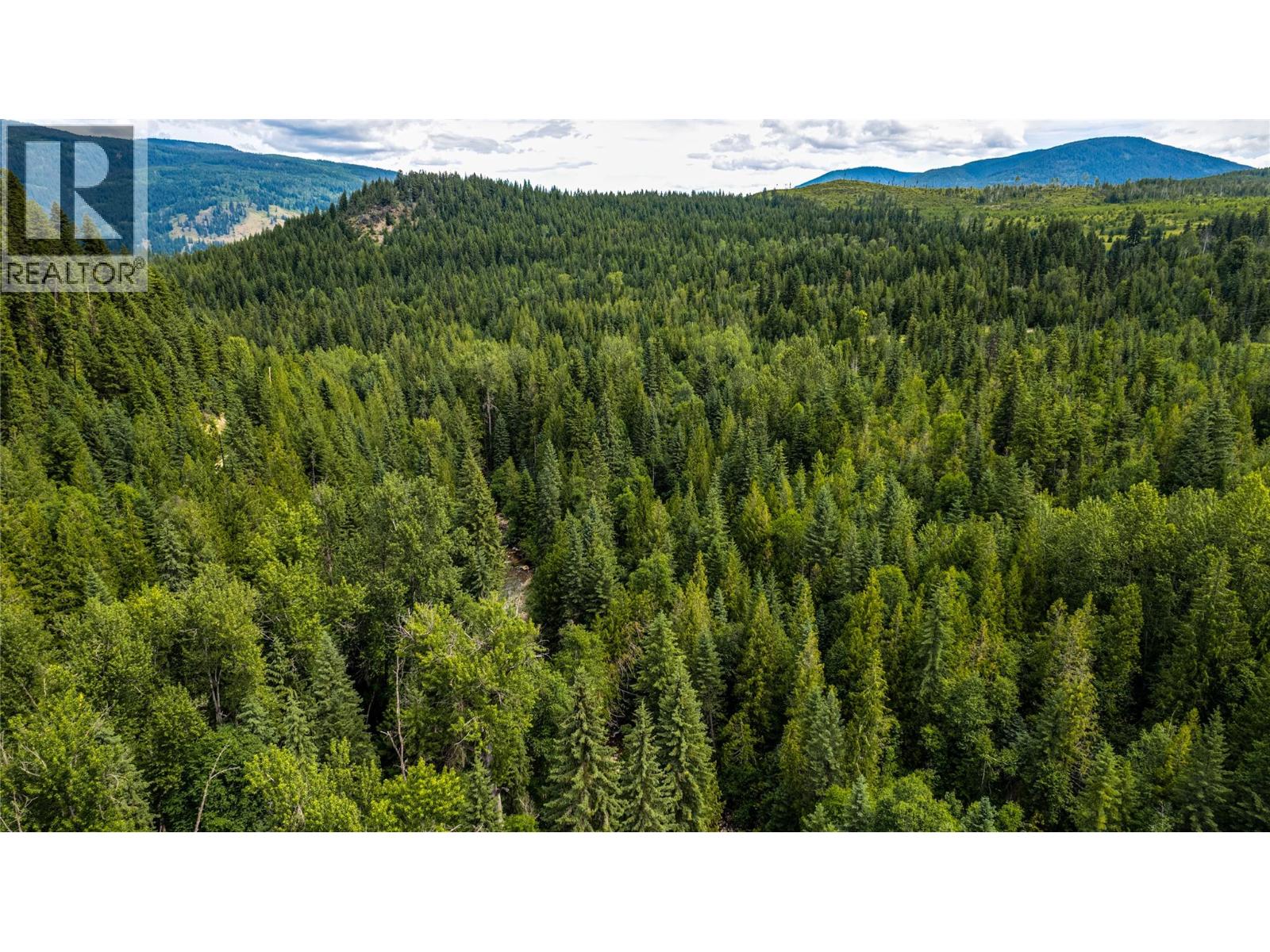 Richlands Road, Cherryville, British Columbia  V0E 2G1 - Photo 26 - 10395201