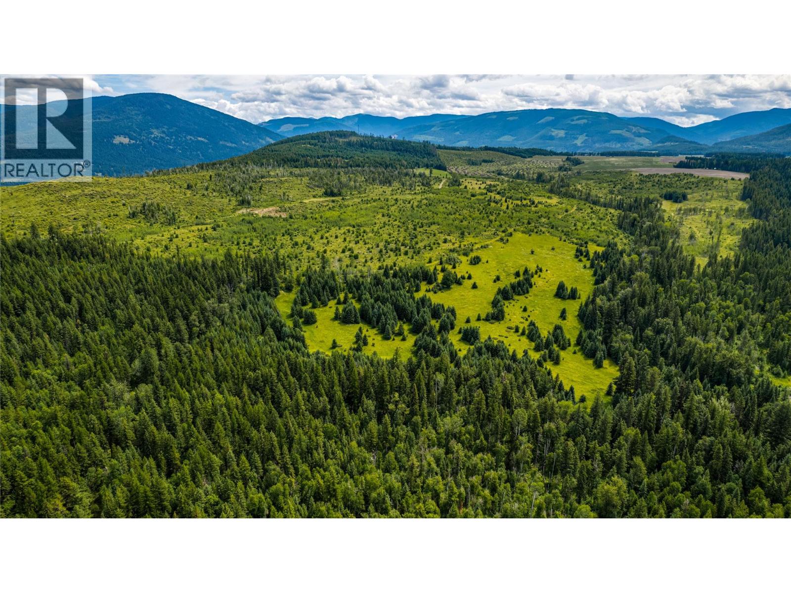Richlands Road, Cherryville, British Columbia  V0E 2G1 - Photo 20 - 10395201