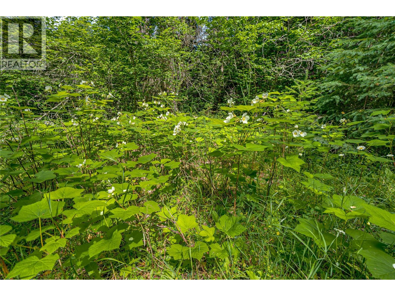 Richlands Road, Cherryville, British Columbia  V0E 2G1 - Photo 39 - 10395201