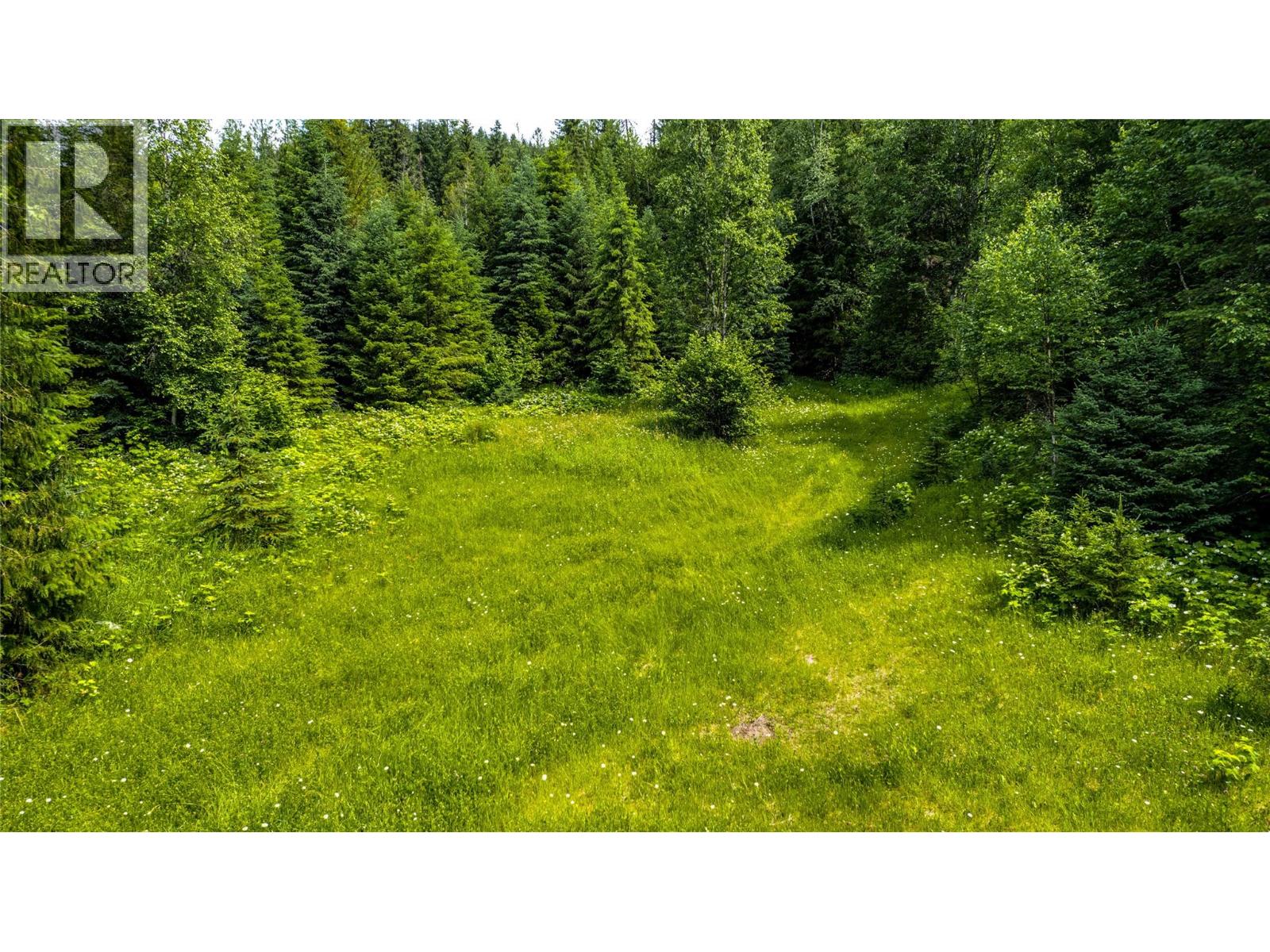 Richlands Road, Cherryville, British Columbia  V0E 2G1 - Photo 18 - 10395201