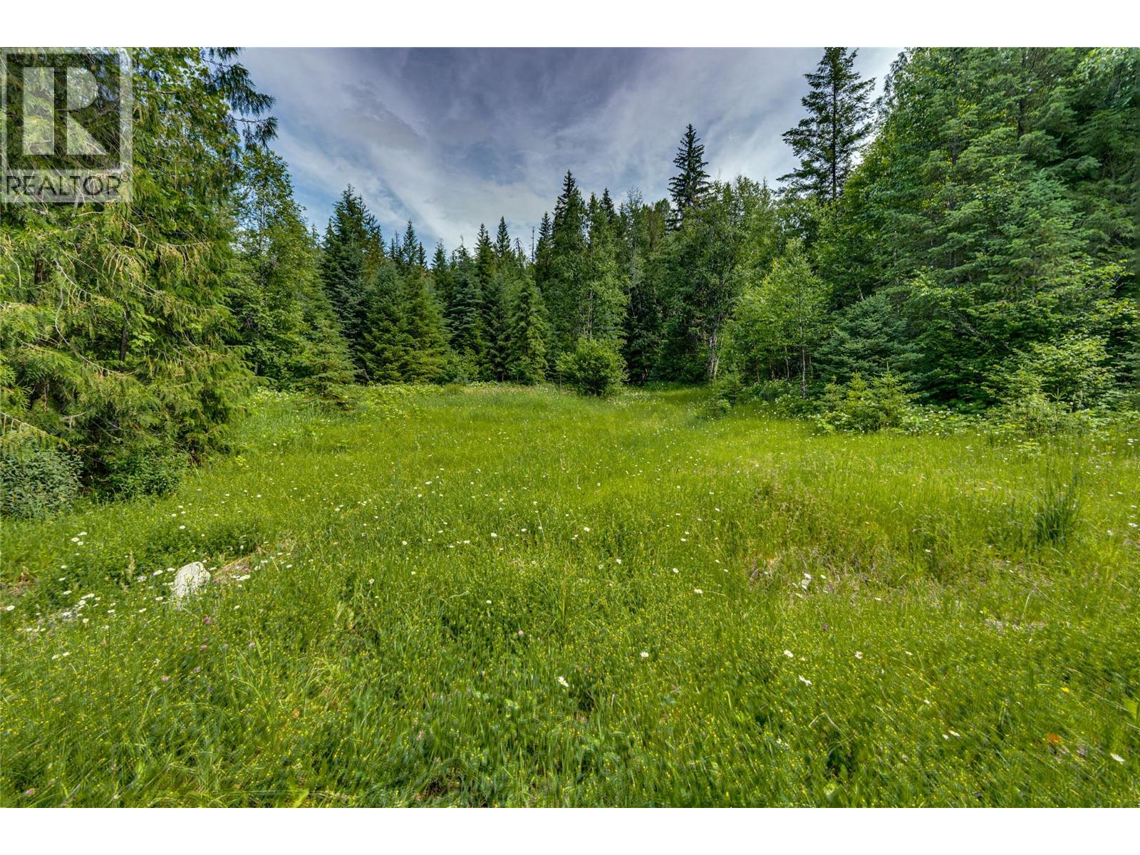 Richlands Road, Cherryville, British Columbia  V0E 2G1 - Photo 35 - 10395201