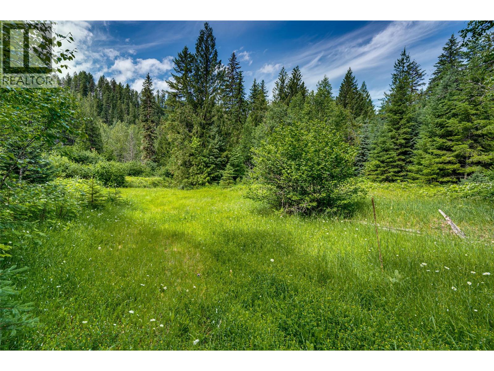Richlands Road, Cherryville, British Columbia  V0E 2G1 - Photo 37 - 10395201