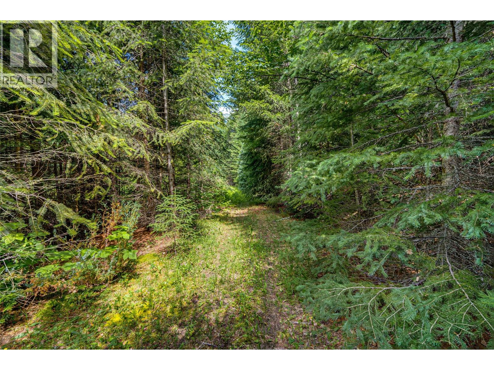Richlands Road, Cherryville, British Columbia  V0E 2G1 - Photo 40 - 10395201