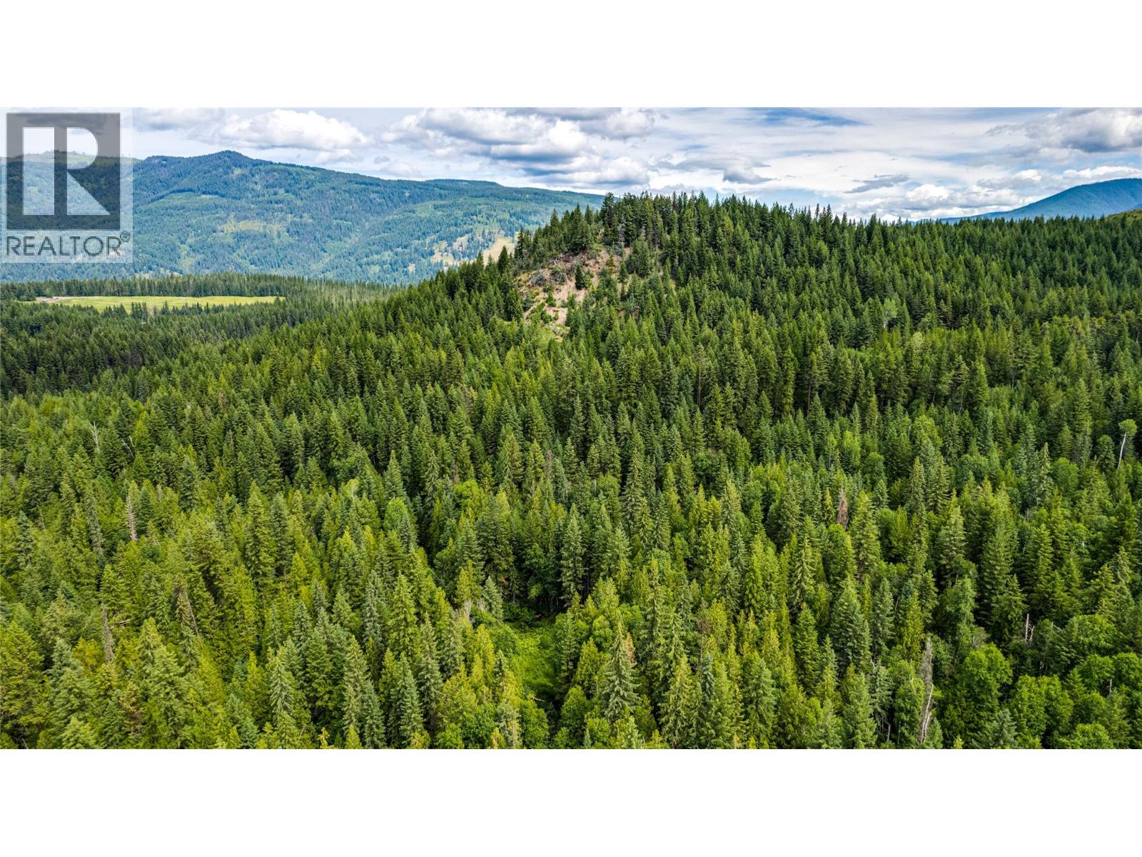 Richlands Road, Cherryville, British Columbia  V0E 2G1 - Photo 10 - 10395201