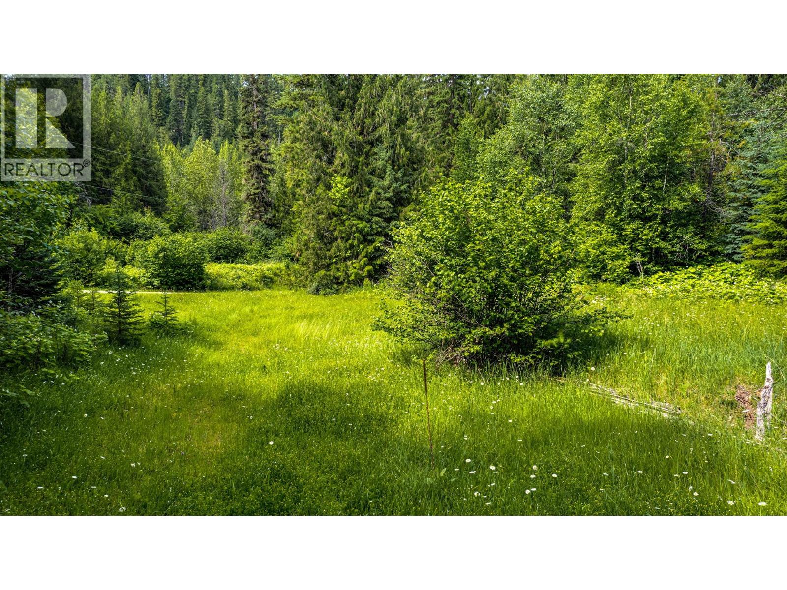 Richlands Road, Cherryville, British Columbia  V0E 2G1 - Photo 17 - 10395201