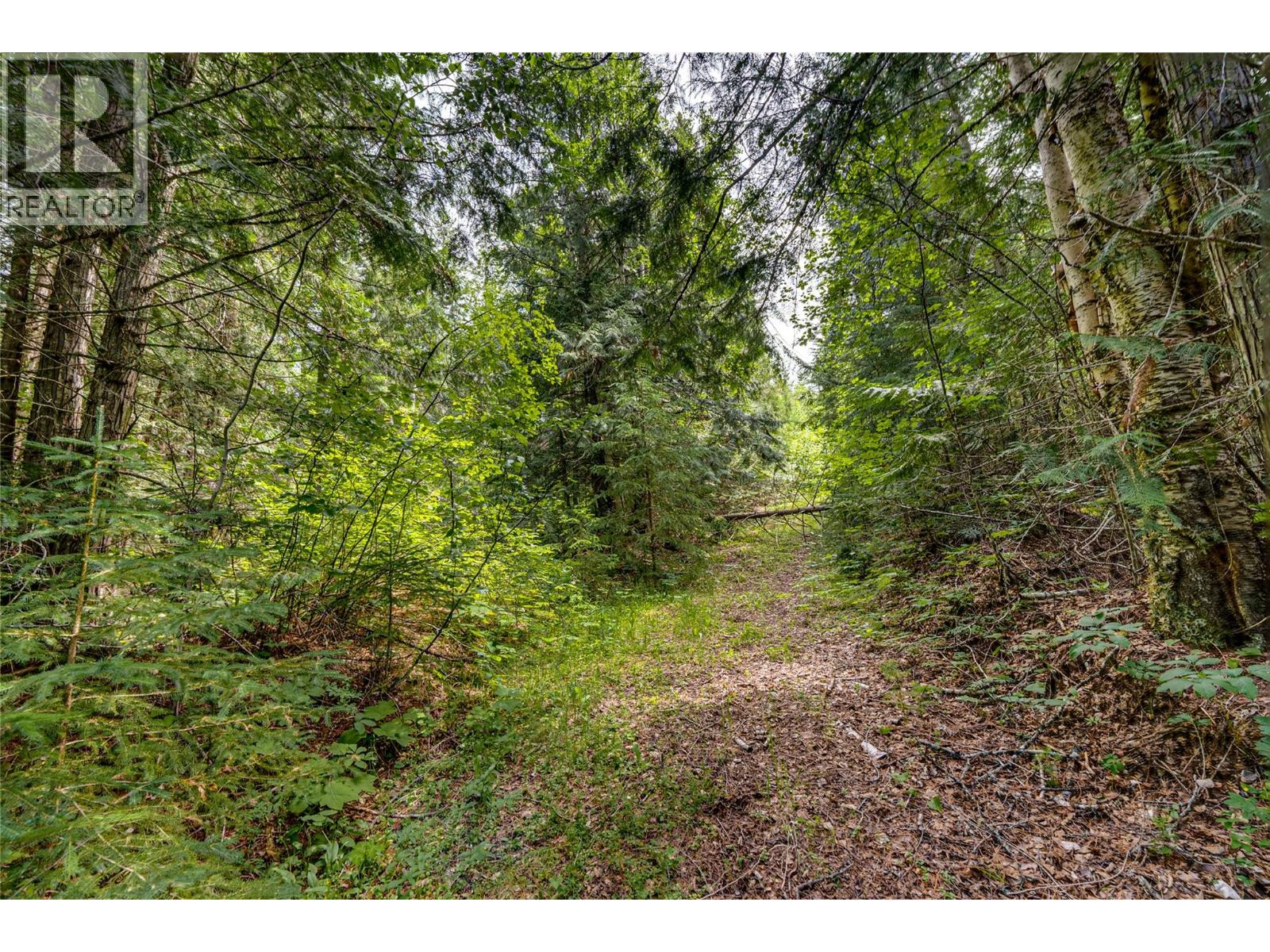 Richlands Road, Cherryville, British Columbia  V0E 2G1 - Photo 38 - 10395201