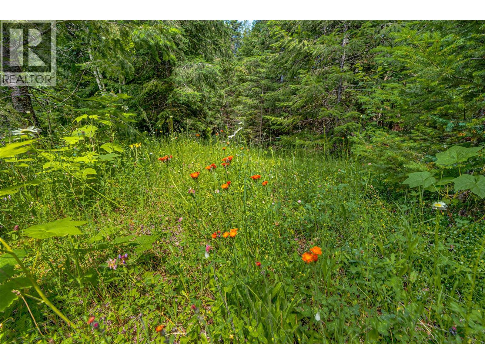 Richlands Road, Cherryville, British Columbia  V0E 2G1 - Photo 41 - 10395201