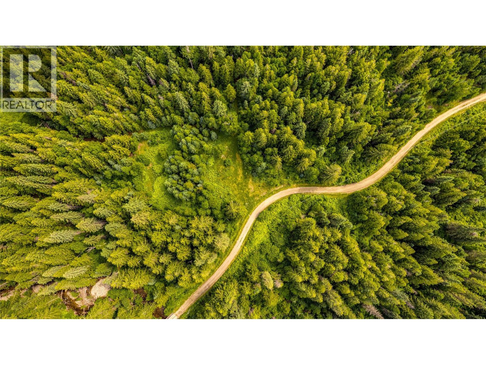 Richlands Road, Cherryville, British Columbia  V0E 2G1 - Photo 9 - 10395201