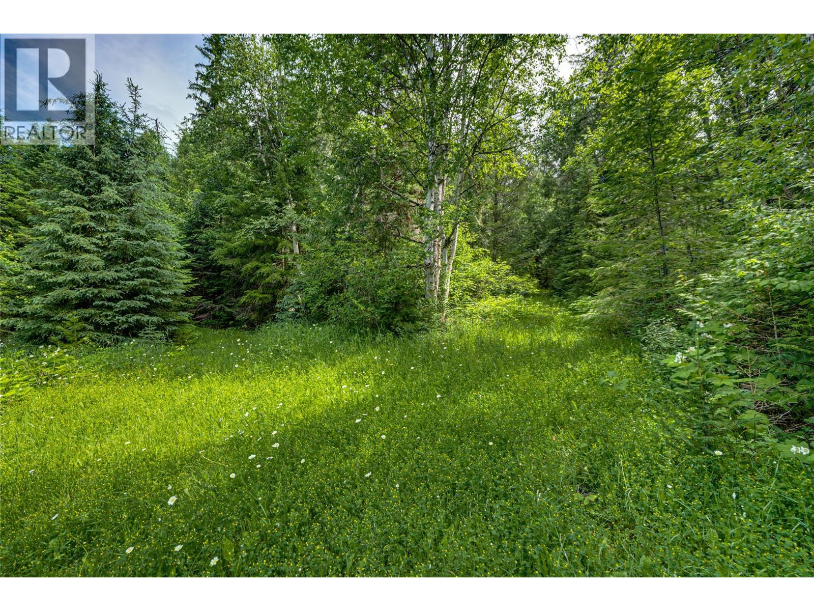 Richlands Road, Cherryville, British Columbia  V0E 2G1 - Photo 36 - 10395201