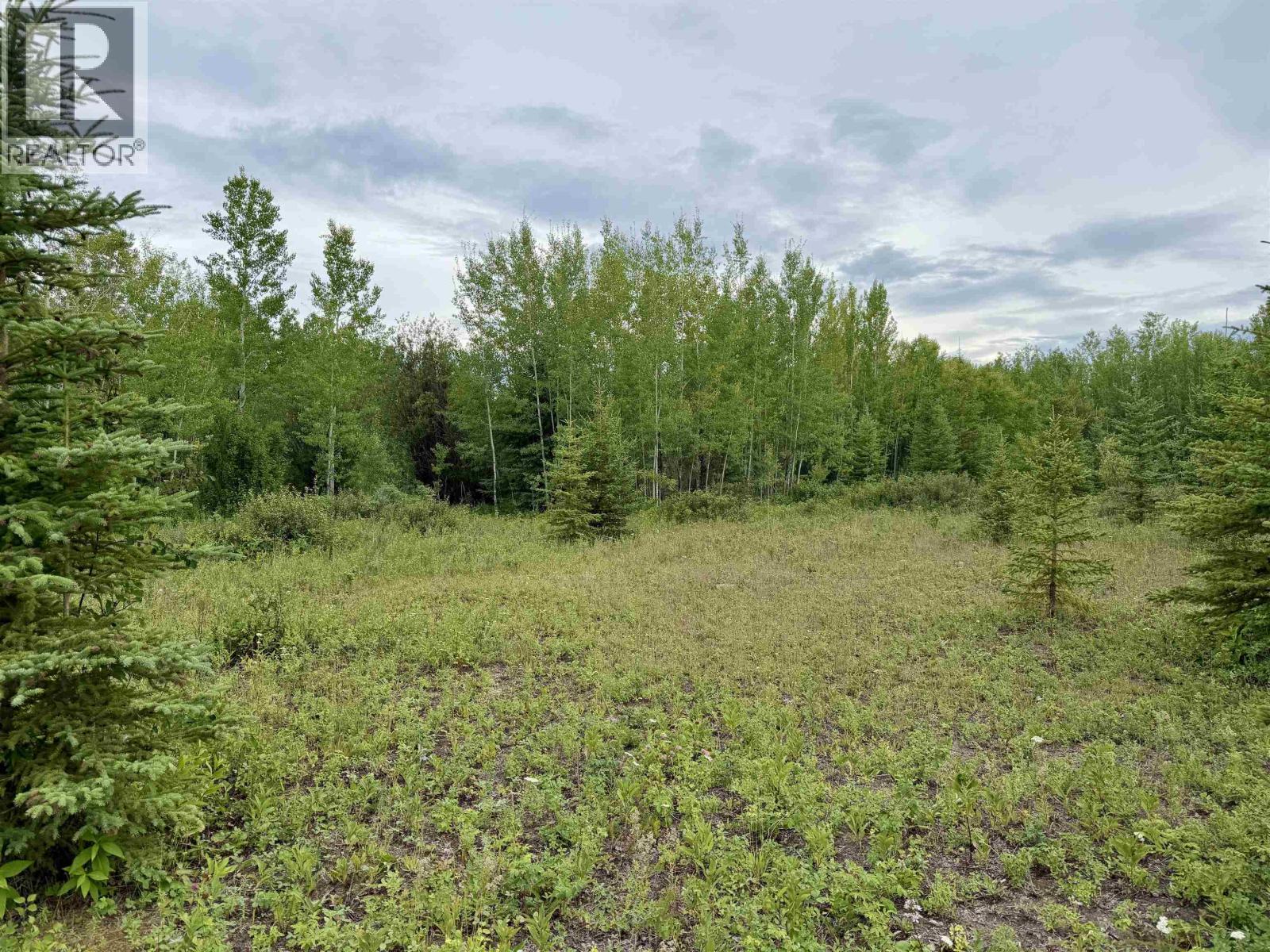 14509 Sackner Road, Vanderhoof, British Columbia  V0J 3A2 - Photo 10 - R3151544