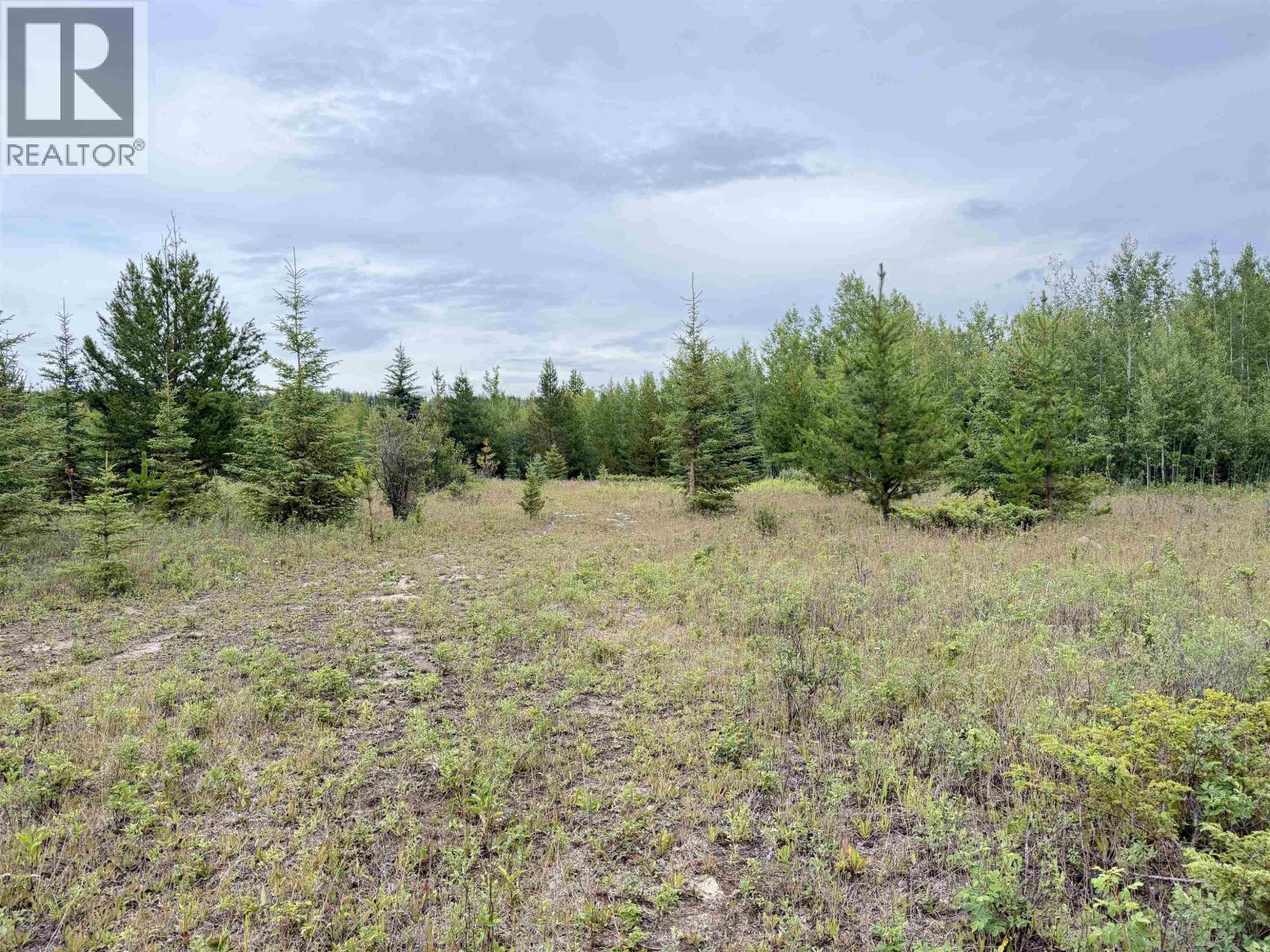 14509 Sackner Road, Vanderhoof, British Columbia  V0J 3A2 - Photo 9 - R3151544
