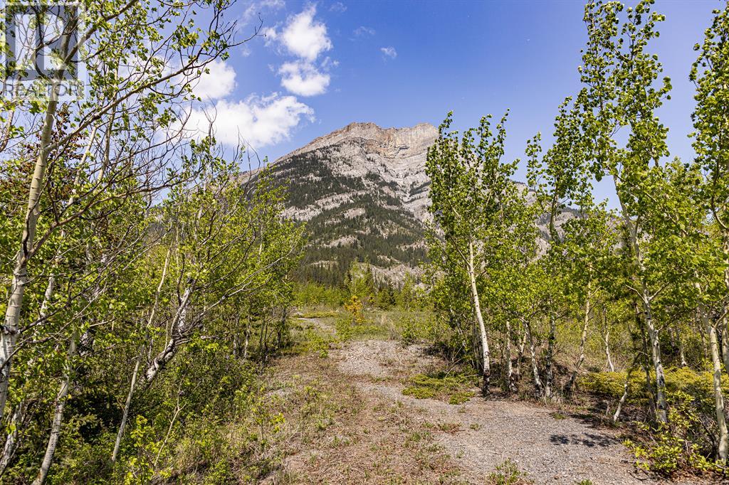 Ne Qtr./18/24/09/5 1a Highway, Rural Bighorn No. 8, Alberta  T1W 2C0 - Photo 19 - A2336280