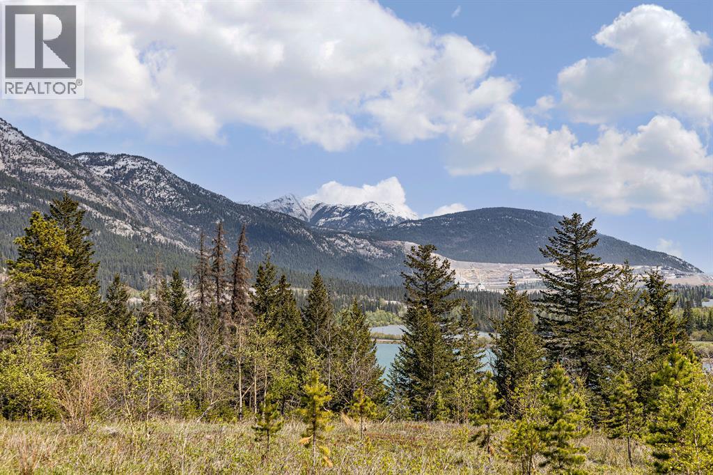Ne Qtr./18/24/09/5 1a Highway, Rural Bighorn No. 8, Alberta  T1W 2C0 - Photo 20 - A2336280