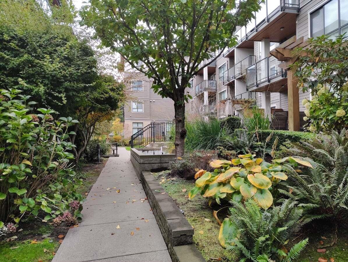 205 15388 105 Avenue, Surrey, British Columbia  V3R 0C4 - Photo 24 - R3154442