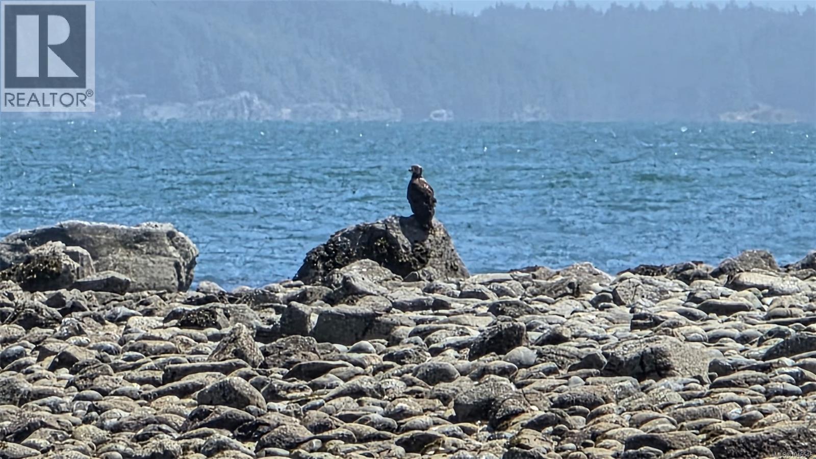 1070 Seventh Ave, Ucluelet, British Columbia V0R 3A0 - Photo 15 - 1046546