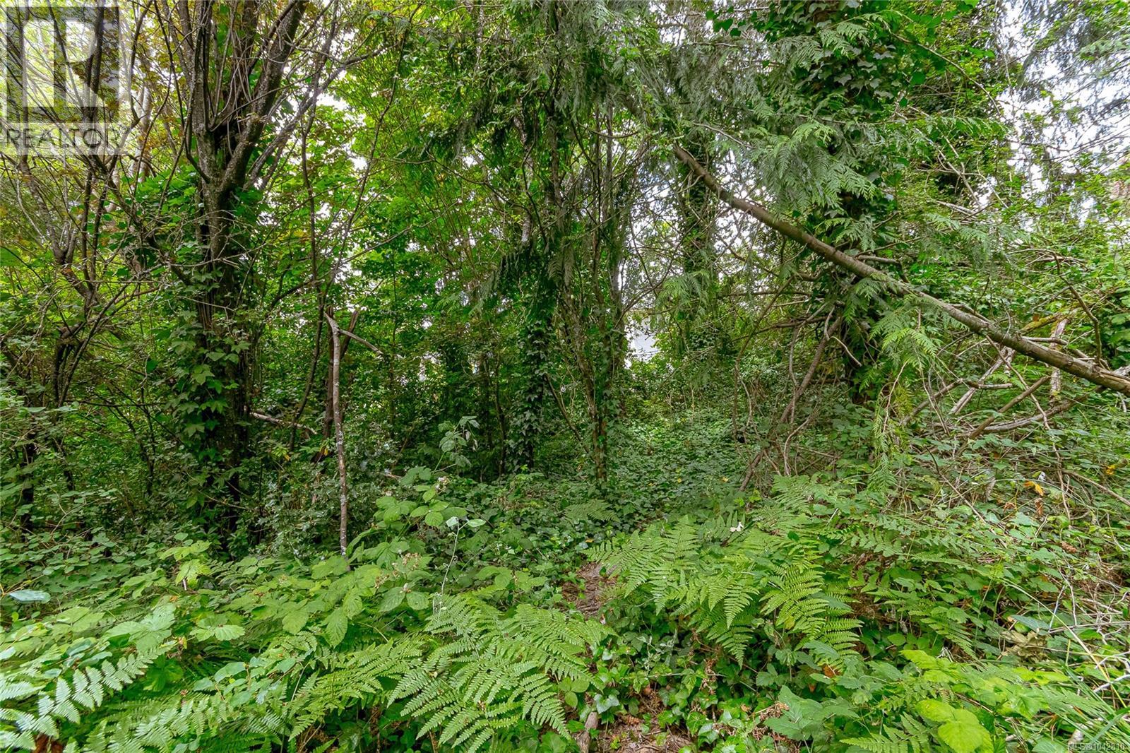 883 Lampson St, Esquimalt, British Columbia  V9A 6B6 - Photo 39 - 1042810