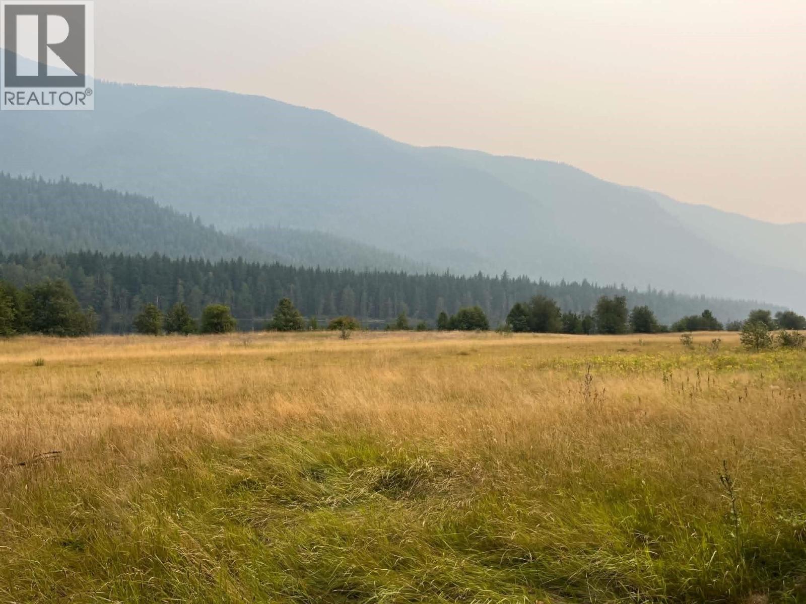 1864 Highway 3a, Castlegar, British Columbia  V1N 4N6 - Photo 29 - 10397290