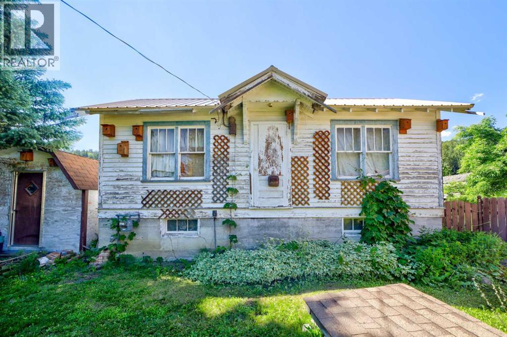 5670 16 Avenue, Coleman, Alberta  T0K 0M0 - Photo 41 - A2328517